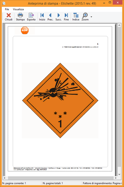 La finestra di anteprima di stampa con un report d'esempio