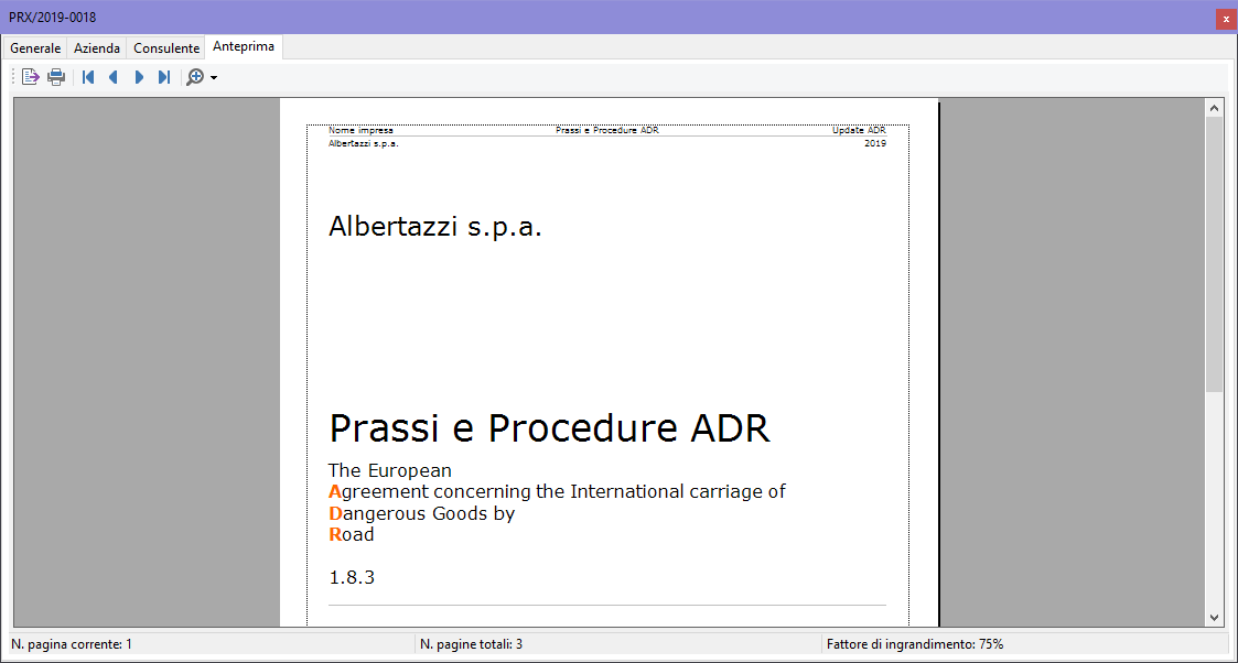 Finestra di documento della procedura, scheda "Anteprima" Finestra di documento della procedura, scheda "Anteprima"